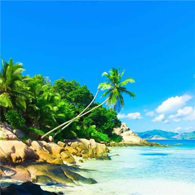 金年会体育APP下载截图