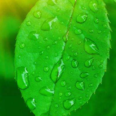 永盈会手机app下载